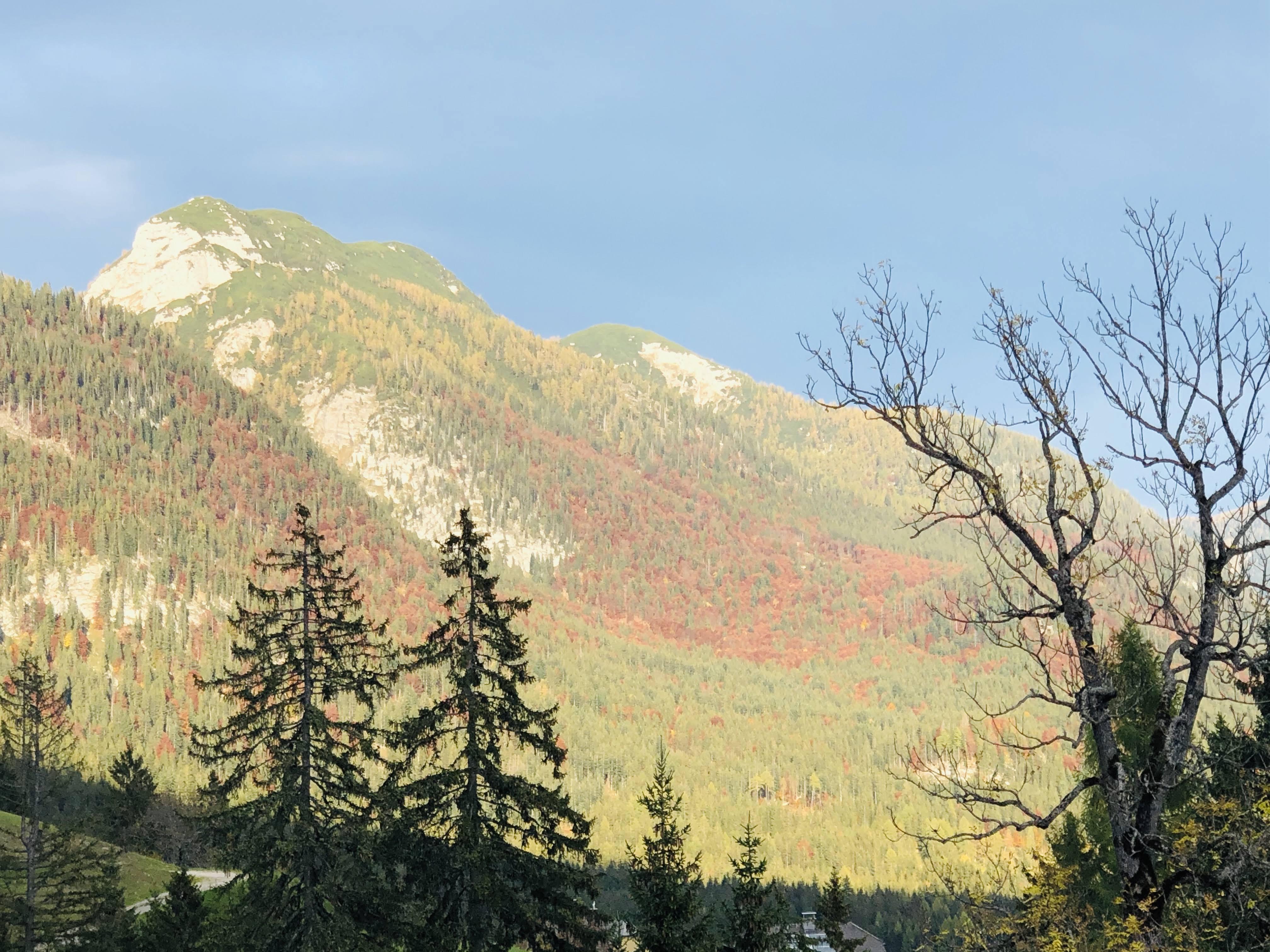 Autumn colour across the forested slopes, a peak in the low sun