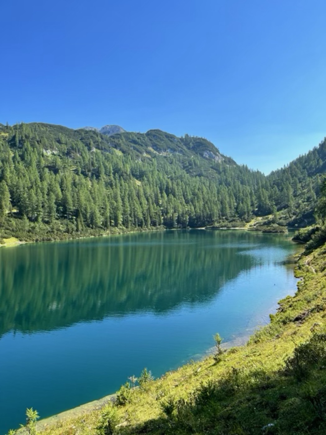 A turquoise alpine lake ringed by summer forest
