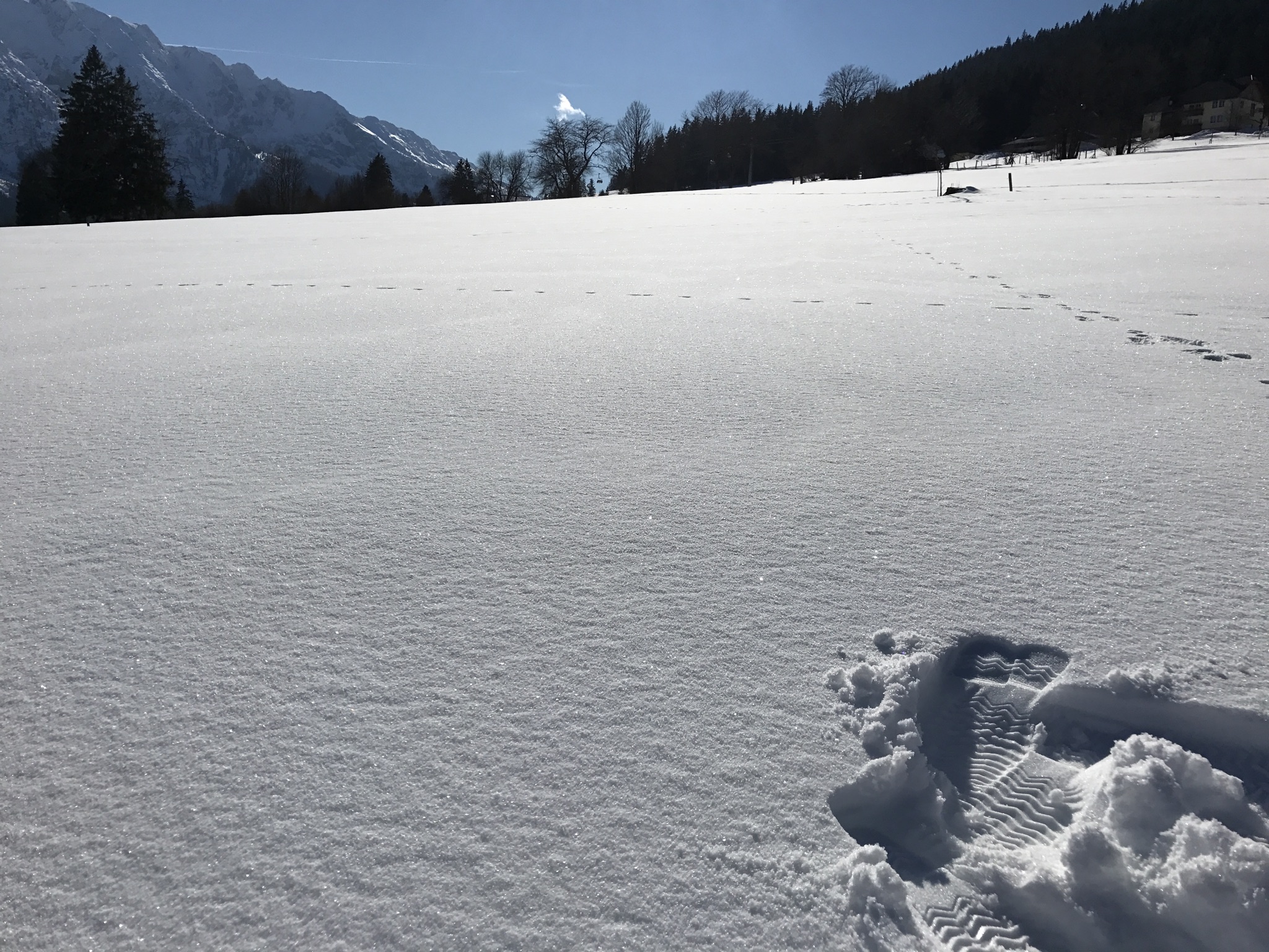 Fresh snow across an open meadow, boot tracks and the mountains beyond