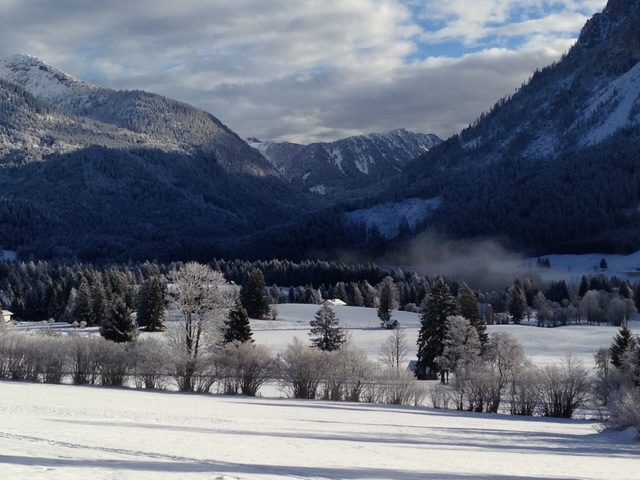 Fresh snow on the meadows, mist lifting off the forest